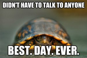blog don't have to talk turtle